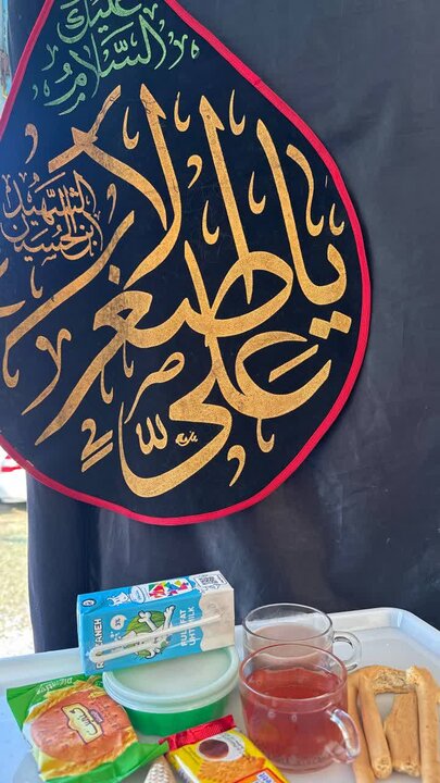 تصاویر/ همایش شیرخوارگان حسینی در بقعه متبرکه امامزاده ناصرالحق (ع) آمل