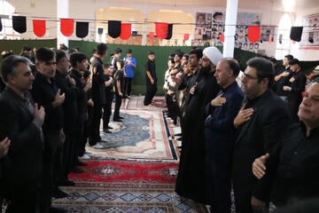 تصاویر/ برگزاری مراسم احلی من العسل در شهرستان دهلران