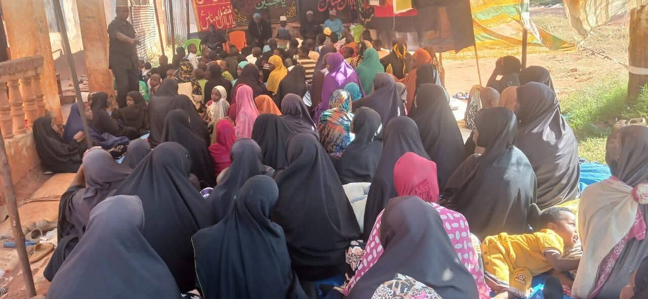 افریقہ کے مختلف ممالک میں عشرۂ محرم عقیدت، شعور اور اخلاص کے ساتھ جاری