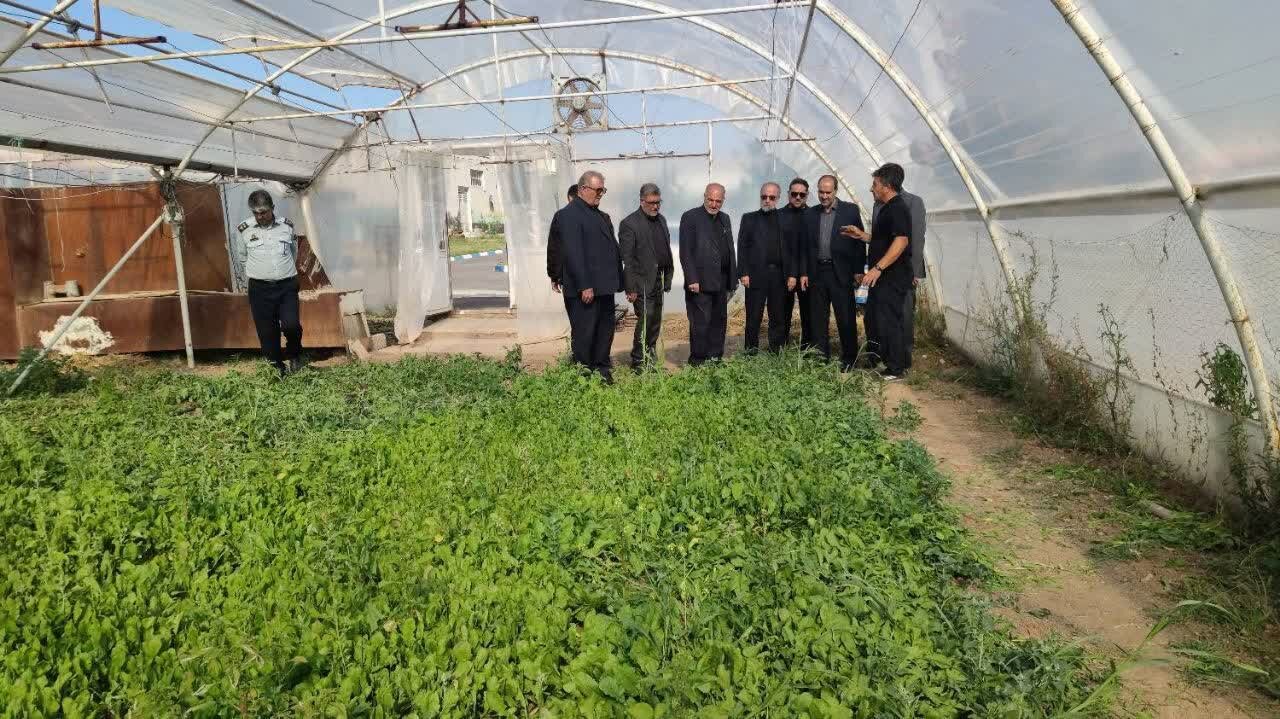 بازدید معاون دادستان کل کشور از زندان‌ مرکزی اردبیل