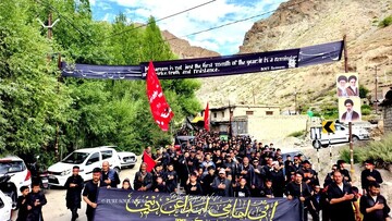 20 Mourning Assemblies Held Across 14 African Nations to Mark Ashura