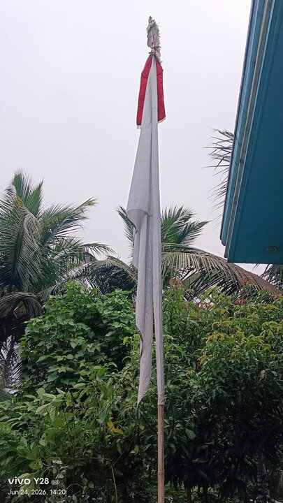 জুলুস