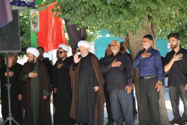 تصاویر / برپایی دسته های عزاداری تاسوعای حسینی در اسدآباد