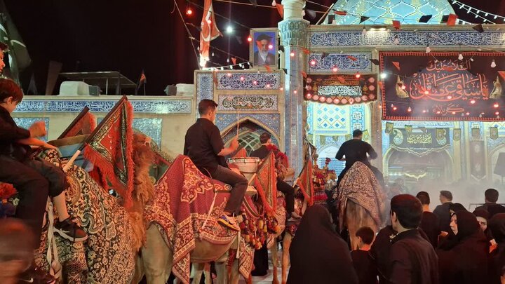تصاویر | شب تاسوعا متفاوت در امامزاده شاه سید علی(ع)قم