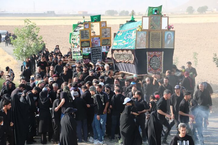 تصاویر/آیین نخل گردانی از شهرستان کارچان تا امامزاده مرضیه خاتون(س)