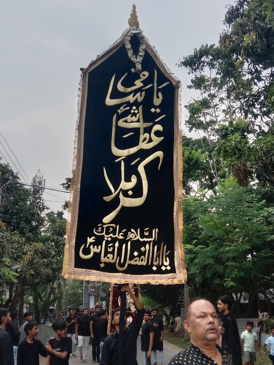 تصاویر/ برگزاری دسته عزای هشتم محرم در سالوا ایالت بنگال غربی هند