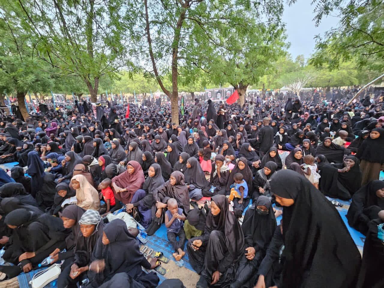 Gema Pesan Asyura di Nigeria