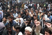 کربلا انسانیت کی بھلائی اور اسلام کی سربلندی کا آفاقی پیغام ہے: مولانا سید ضیاء الحسن نجفی