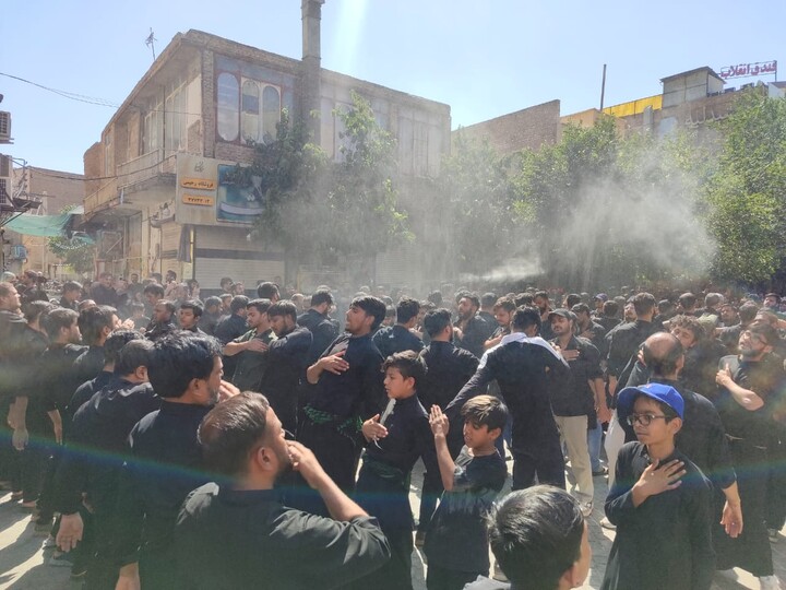 تصاویر/ راهپیمایی باشکوه عاشوراییِ علما و طلاب هندی در شهر مقدس قم