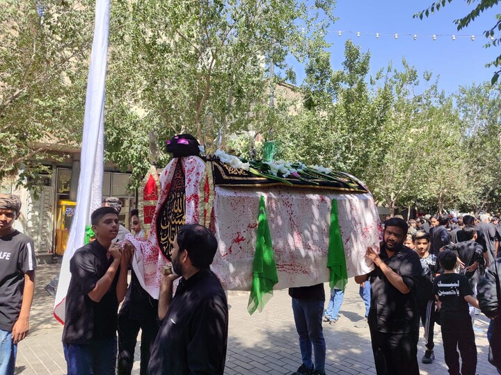 تصاویر/ راهپیمایی باشکوه عاشوراییِ علما و طلاب هندی در شهر مقدس قم