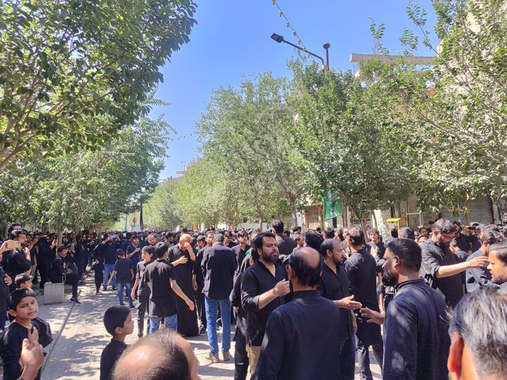 تصاویر/ راهپیمایی باشکوه عاشوراییِ علما و طلاب هندی در شهر مقدس قم