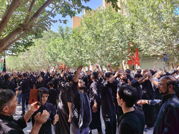 تصاویر/ راهپیمایی باشکوه عاشوراییِ علما و طلاب هندی در شهر مقدس قم