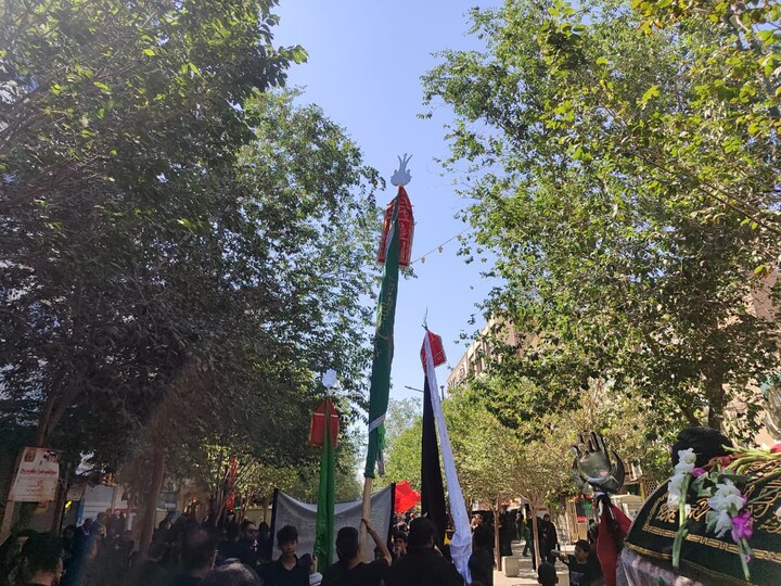 تصاویر/ راهپیمایی باشکوه عاشوراییِ علما و طلاب هندی در شهر مقدس قم