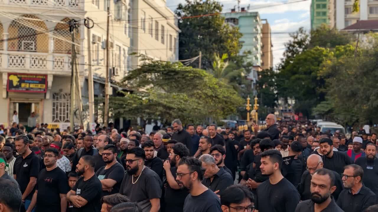 Matembezi ya Amani ya Kumuenzi Imam Hussein (as) Yafanyika Jijini Dar es Salaam + Picha