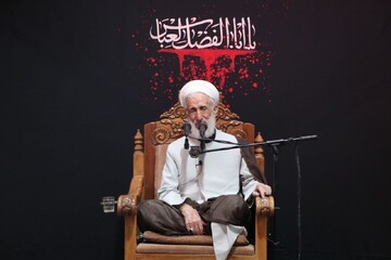 امام حسین(ع) سرچشمه منفعت برای بشریت و حافظ دین الهی است 