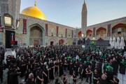 تصاویر/ خدام حرم امام حسینؑ اور حرم حضرت عباسؑ کی حرم امیرالمؤمنینؑ میں حاضری، مولائے کائنات (ع) کو پرسہ پیش