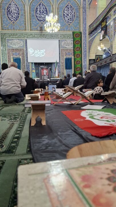 تصاویر/ اقامه نمازجمعه شهر راین