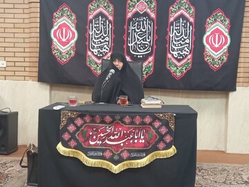 سیره حضرت زینب (س)؛ نقشه راه نخبگان در جهاد تبیین و مدیریت بحران