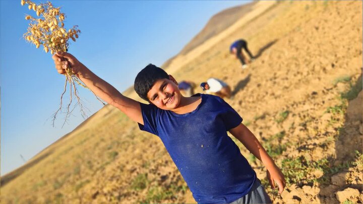 تصاویر/ طلبه مدرسه آیت‌ الله آخوند(ره) دانش‌ آموزان را به تجربه‌ای متفاوت از زندگی برد