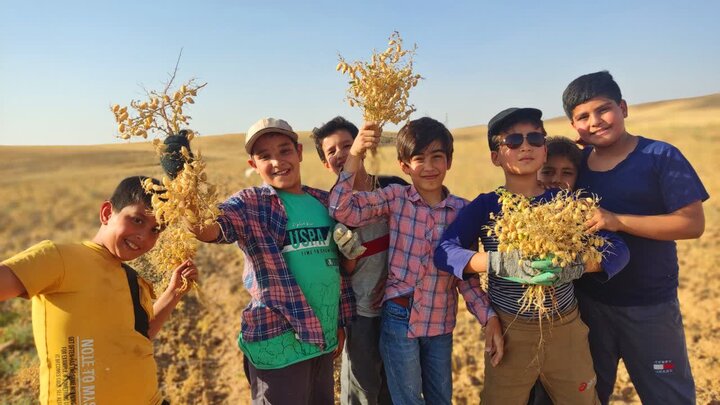 تصاویر/ طلبه مدرسه آیت‌ الله آخوند(ره) دانش‌ آموزان را به تجربه‌ای متفاوت از زندگی برد
