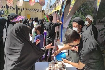 مواکب حوزوی آمادگی کامل برای پذیرایی از زائران اربعین دارند