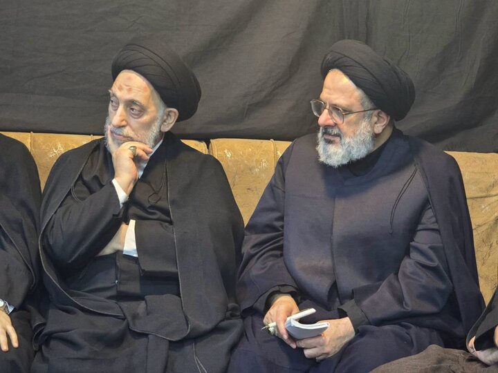 تصاویر/ نشست صمیمی آیت الله اعرافی با علمای نجف
