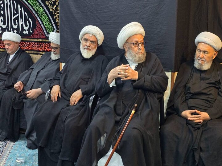 تصاویر/ نشست صمیمی آیت الله اعرافی با علمای نجف