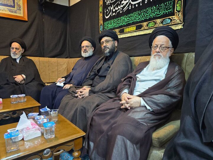 تصاویر/ نشست صمیمی آیت الله اعرافی با علمای نجف