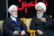 Incontro del direttore dei seminari islamici iraniani con l'Ayatollah Bashir al-Najafi