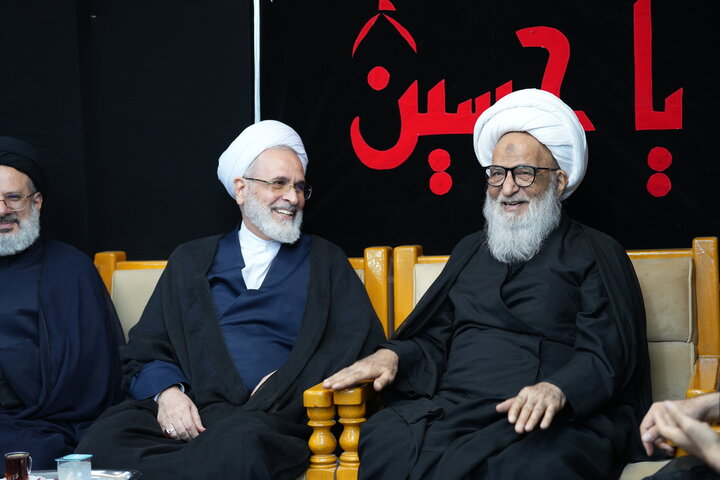 تصاویر/ دیدار مدیر حوزه های علمیه با آیت الله العظمی بشیر نجفی