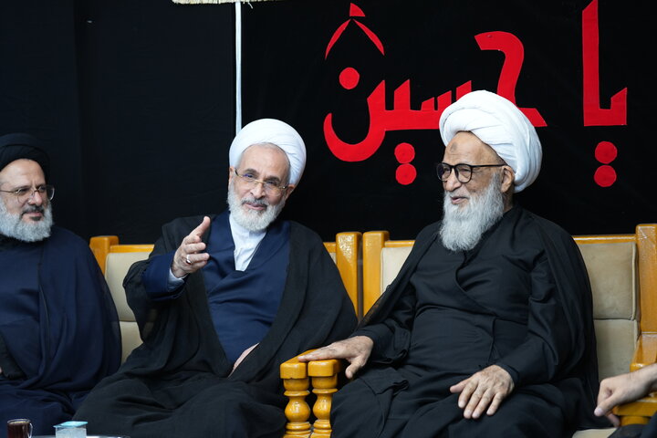 تصاویر/ دیدار مدیر حوزه های علمیه با آیت الله العظمی بشیر نجفی
