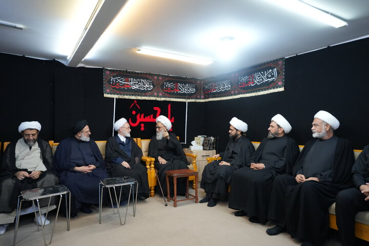 تصاویر/ دیدار مدیر حوزه های علمیه با آیت الله العظمی بشیر نجفی