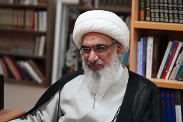منطقه آزاد بوشهر باید به هاب تخصصی تجارت و ترانزیت کشور تبدیل شود