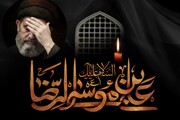 امام رضا (ع) کے علم و حکمت سے لبریز ارشادات ہمارے لیے مشعلِ راہ ہیں