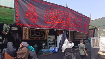 فیلم|یک دهه خدمت پیربکرانی‌ها به زائران اربعین حسینی