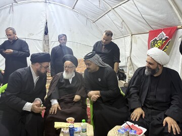 تصاویر/ بازدید و تقدیر نماینده ولی فقیه در کشور عراق از برخی از مواکب مسیر نجف به کربلا