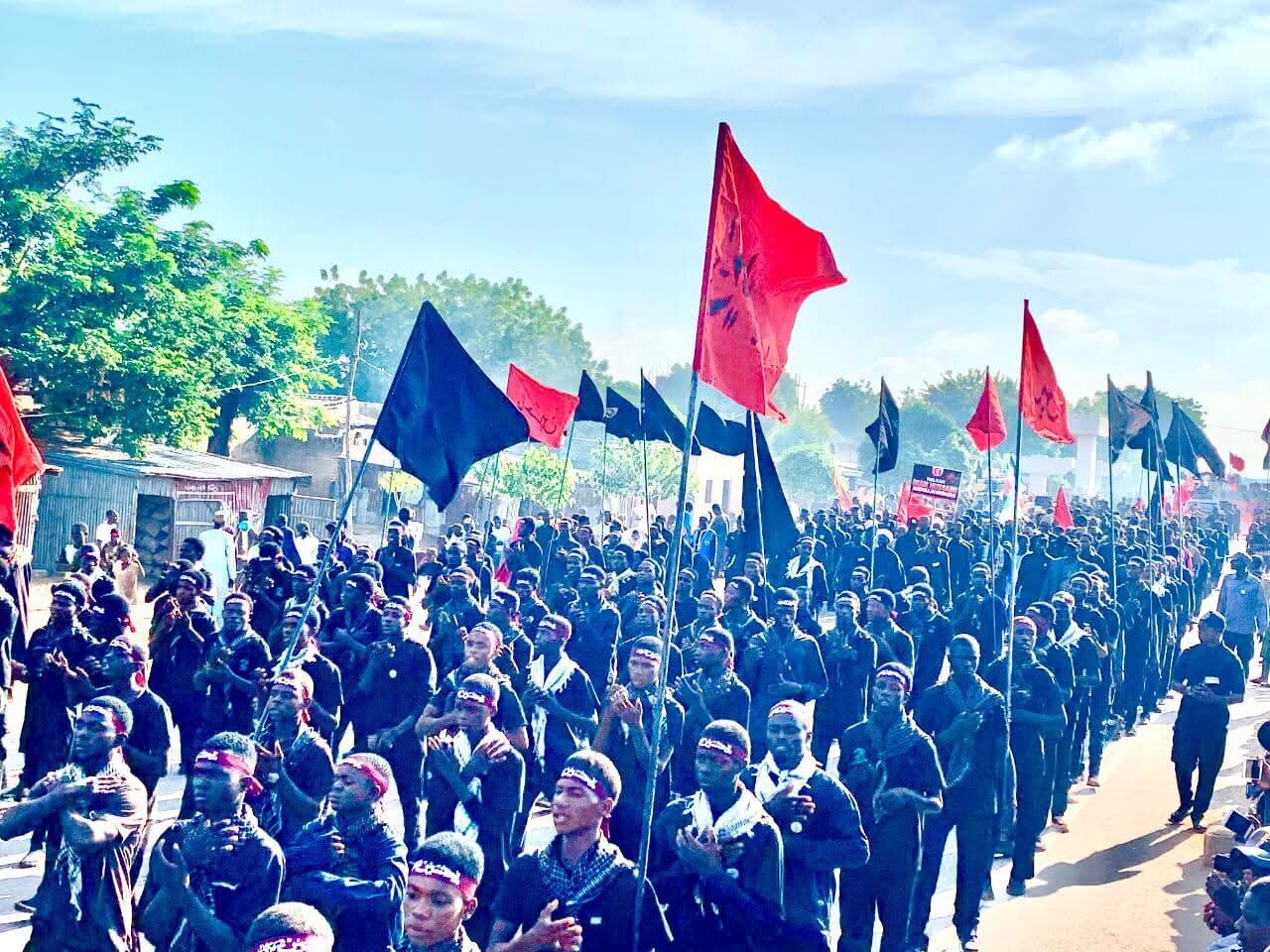 Des milliers de fidèles des Ahl al-Bayt marchent pour l'Arbaïn à Kano