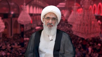 فیلم| امام جمعه بوشهر: پیاده‌روی اربعین امسال، حرکتی انقلابی برای نابودی یزیدیان زمان است