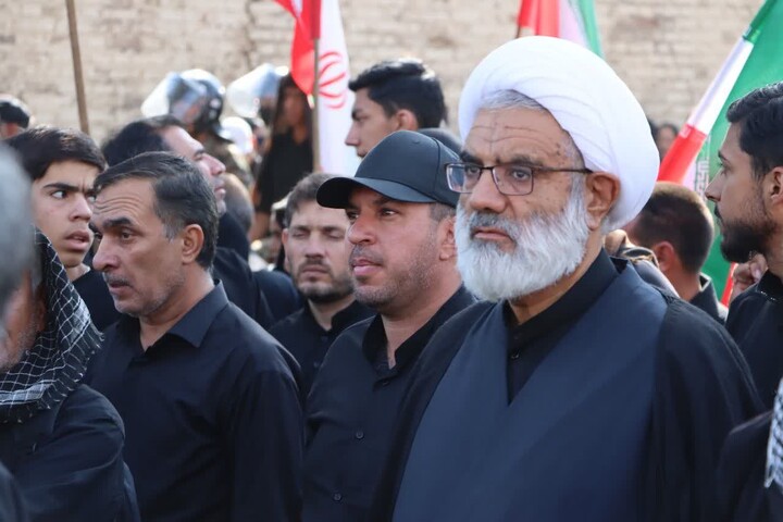 تصاویر/ پیاده روی جاماندگان اربعین در استان کرمان