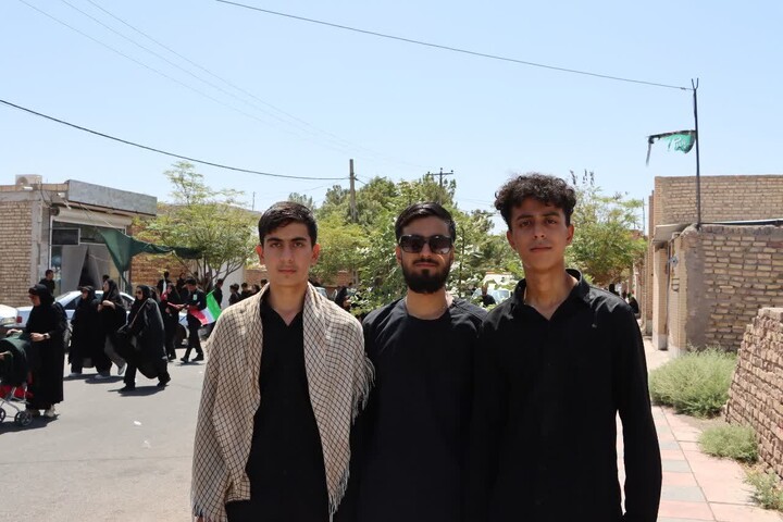 تصاویر/ پیاده روی جاماندگان اربعین در استان کرمان