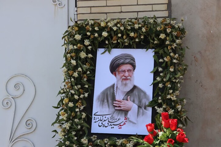 تصاویر/ پیاده روی جاماندگان اربعین در استان کرمان