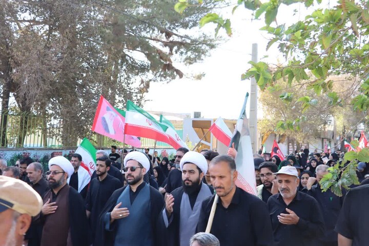 تصاویر/ پیاده روی جاماندگان اربعین در استان کرمان