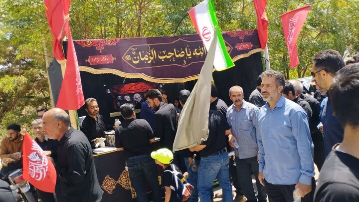 تصاویر/ پیاده روی جاماندگان اربعین در استان کرمان