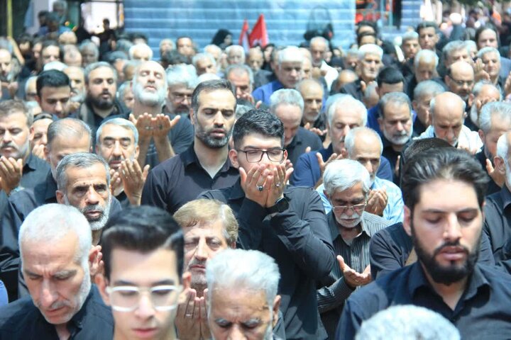 تصاویر/ پیاده‌روی جاماندگان اربعین در شهریار