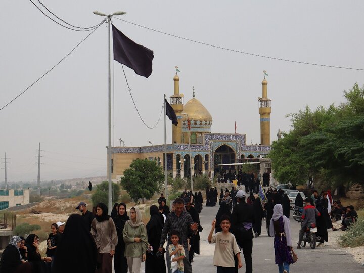 تصاویر/ پیاده‌روی جاماندگان اربعین در دیّر