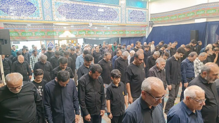 تصاویر/ مراسم اربعین سالار شهیدان در عالیشهر
