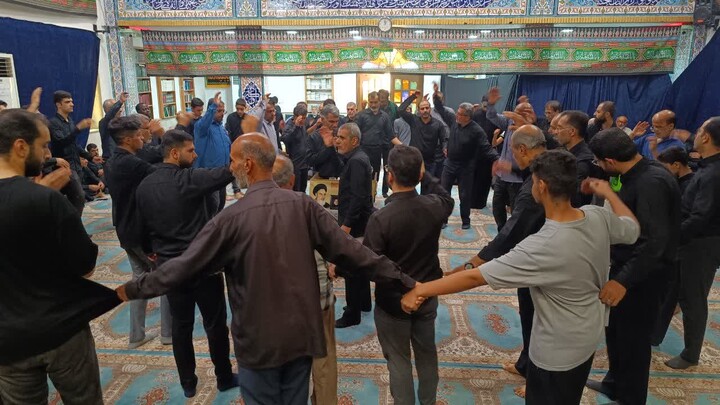 تصاویر/ مراسم اربعین سالار شهیدان در عالیشهر