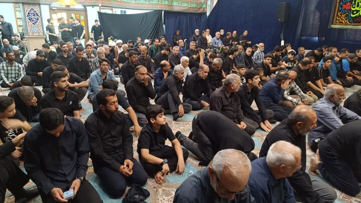 تصاویر/ مراسم اربعین سالار شهیدان در عالیشهر
