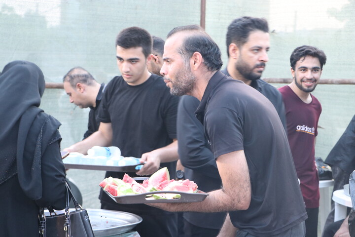 تصاویر/ راهپیمایی جاماندگان اربعین در بوشهر
