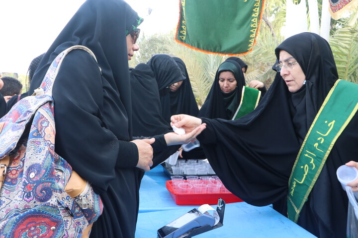 تصاویر/ راهپیمایی جاماندگان اربعین در بوشهر
